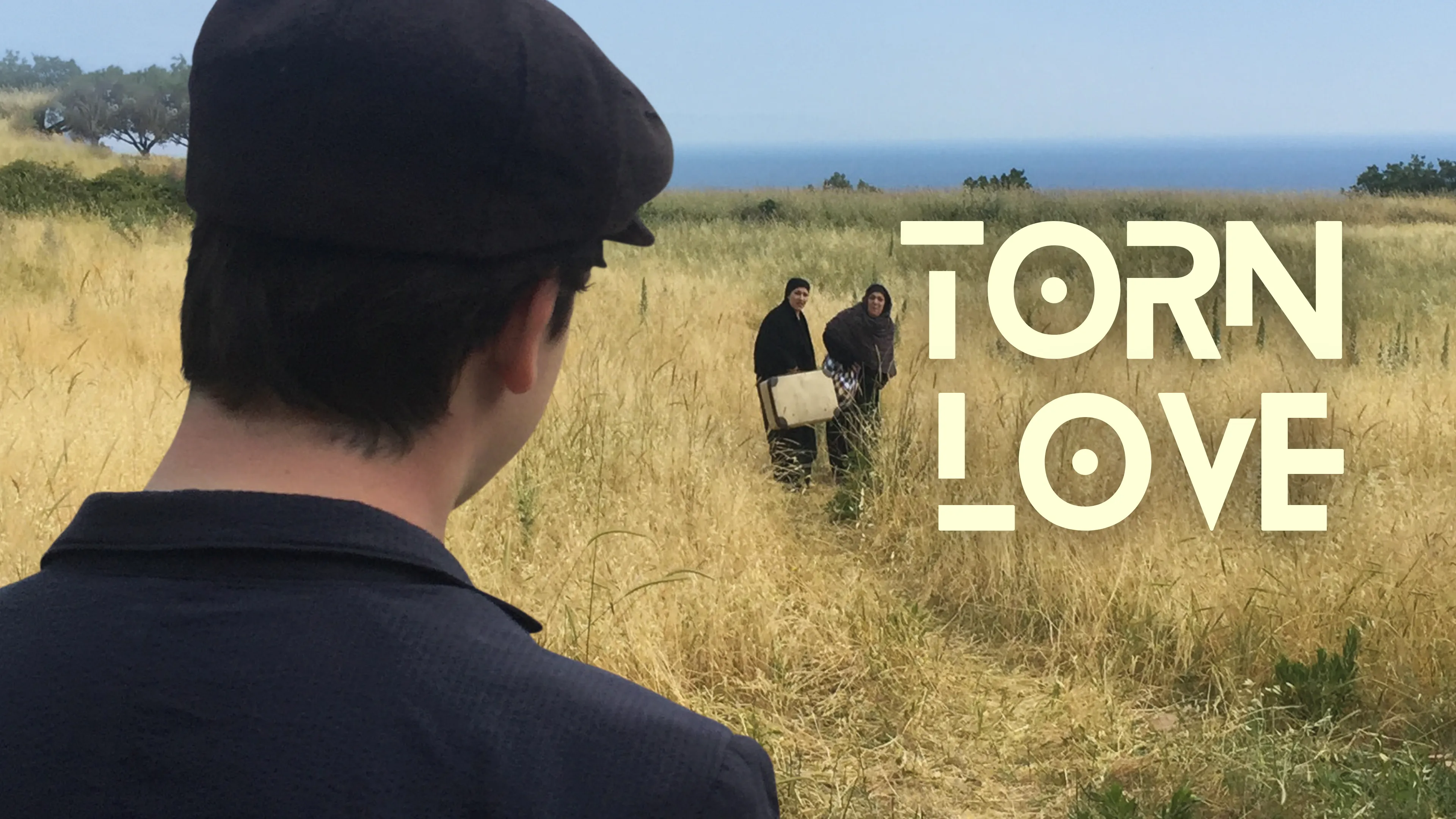 Torn Love poster
